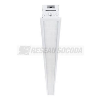  RANA LINEAR E BLANC 31W NW MPO 
