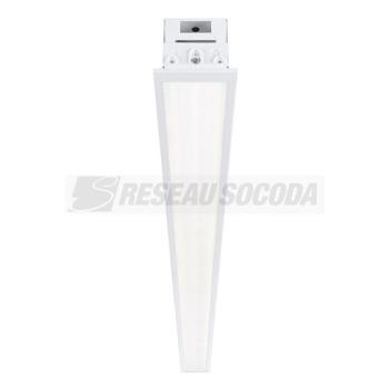  RANA LINEAR E BLANC 31W NW MPO 