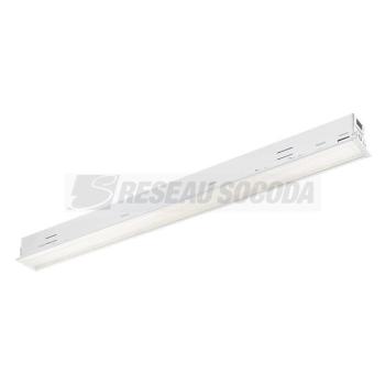  RANA LINEAR E BLANC 31W NW MPO 