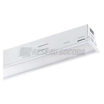  RANA LINEAR E BLANC 31W NW MPO 