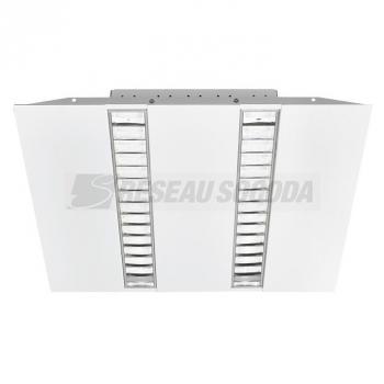  RANA NEO E 600  840 2L DALI 
