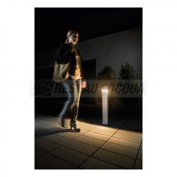  theLeda D B plus AL 
