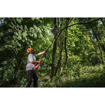  FORET VERRE ET CARRELAGE 8X60M 