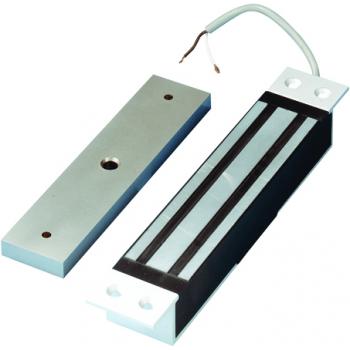  VENTOUSE 300KG ENCAST 12-24VCC 