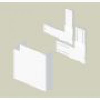  Angle plat 50x100 