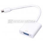  CONVERT MINI DP M-VGA F CABLE 