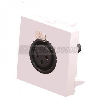  PLASTRON 45x45 XLR BORNIER 