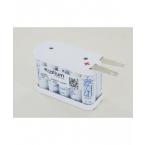  Batterie Ni-Cd 12V 800mAh 