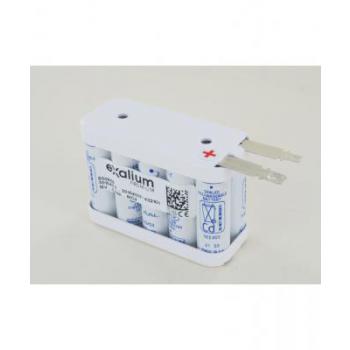  Batterie Ni-Cd 12V 800mAh 