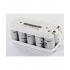  Batterie Ni-Cd 12V 1,6Ah 