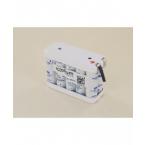  Batterie Ni-Cd 12V 700mAh 