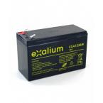  BATTERIE PLOMB 12V 36W/CELL/10 
