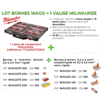  Lot bornes WAGO + valises TTI 