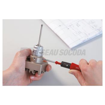  JEU 13 PIEC 2852 S10 TORQUEVAR 